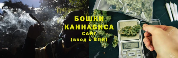 спайс Лагань