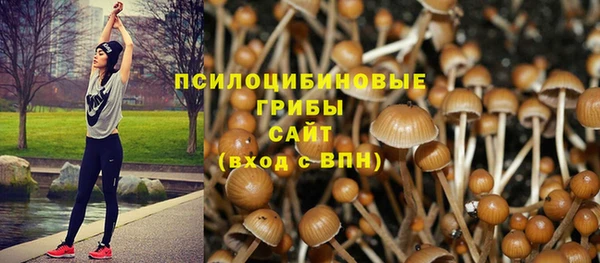 спайс Богородск
